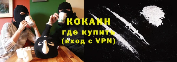 стаф Киренск