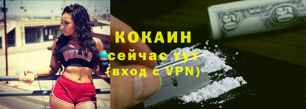 хмурый Корсаков