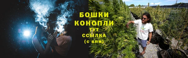 хмурый Корсаков